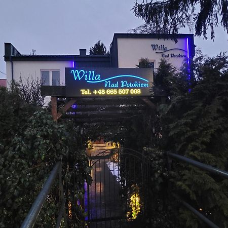 Willa Nad Potokiem Kudowa-Zdrój Kültér fotó