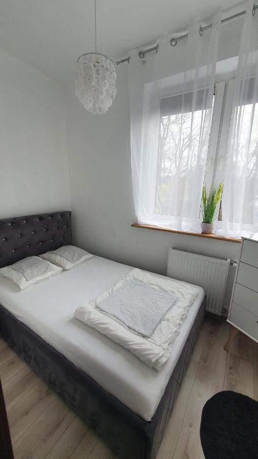 Willa Nad Potokiem Kudowa-Zdrój Kültér fotó
